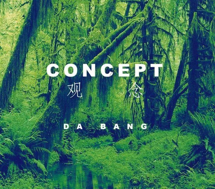 捡到一只猫 邻居说耳朵立不起来不是好猫 朋友却叫我一定要收养它