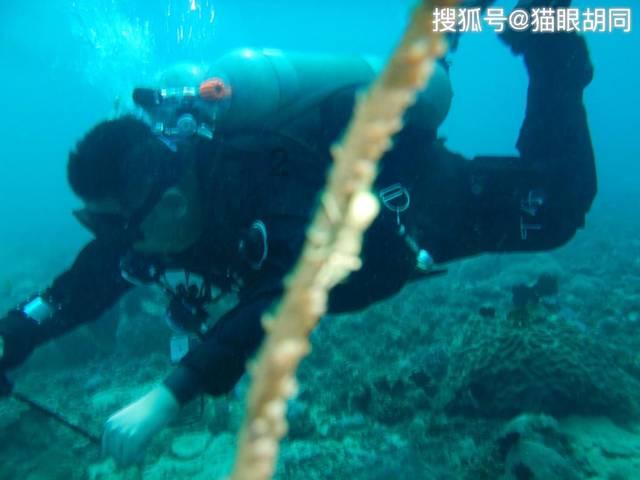 最全面的为什么看前任官宣不知不觉掉了一滴泪？讨论社区-专家在线分享研究成果